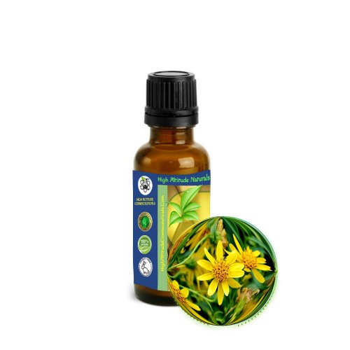 Arnica Montana Essential Oil (SD) Bruises, Massage &amp; Sore Muscles (Topical Use)